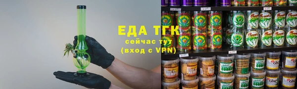 прущие грибы Наволоки