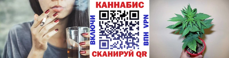 Бошки марихуана сатива  где купить наркоту  Сосенский 